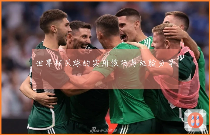 世界杯买球的实用技巧与经验分享