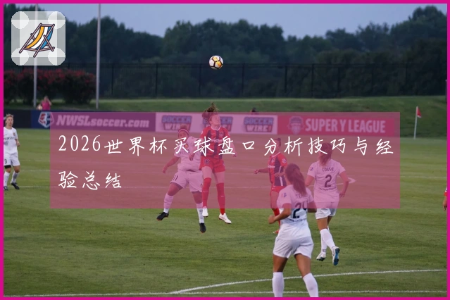 2026世界杯买球盘口分析技巧与经验总结