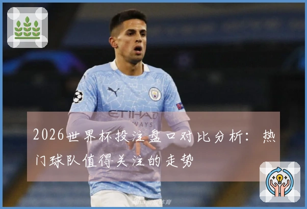 2026世界杯投注盘口对比分析:热门球队值得关注的走势