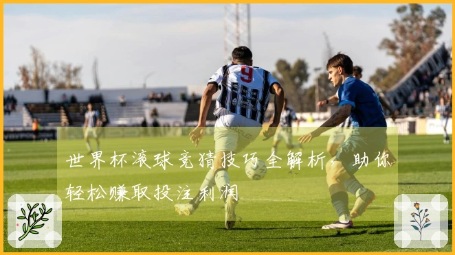 世界杯滚球竞猜技巧全解析，助你轻松赚取投注利润