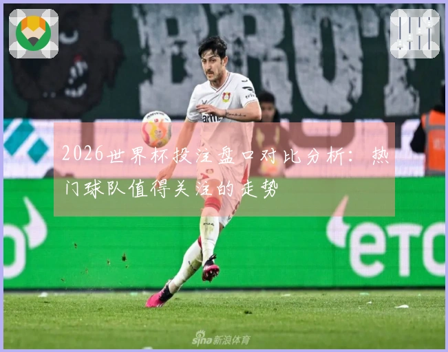 2026世界杯投注盘口对比分析：热门球队值得关注的走势