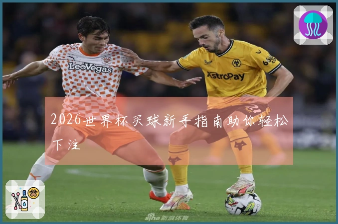 2026世界杯买球新手指南助你轻松下注