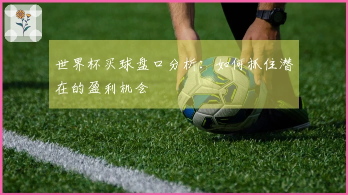 世界杯买球盘口分析：如何抓住潜在的盈利机会