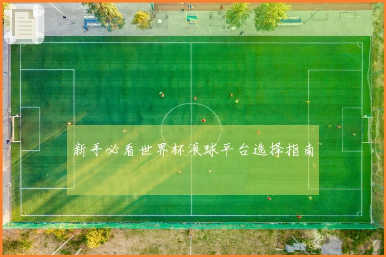 新手必看世界杯滚球平台选择指南