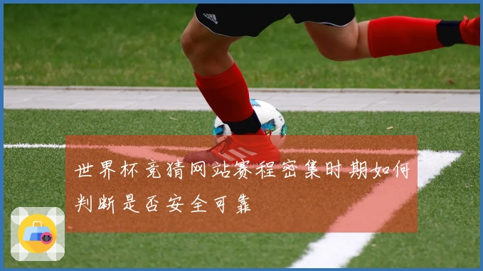 世界杯竞猜网站赛程密集时期如何判断是否安全可靠