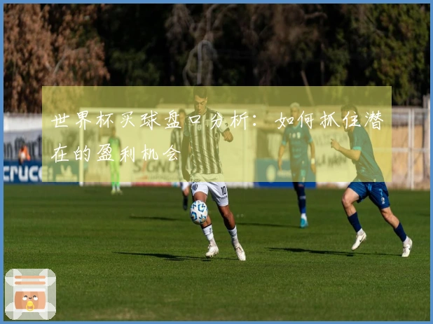 世界杯买球盘口分析：如何抓住潜在的盈利机会