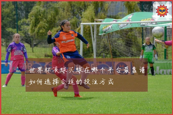 世界杯滚球买球在哪个平台最靠谱如何选择合适的投注方式