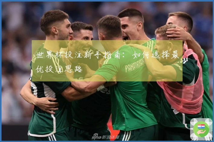 世界杯投注新手指南：如何选择最优投注思路