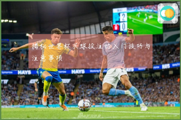 揭秘世界杯买球投注的入门技巧与注意事项
