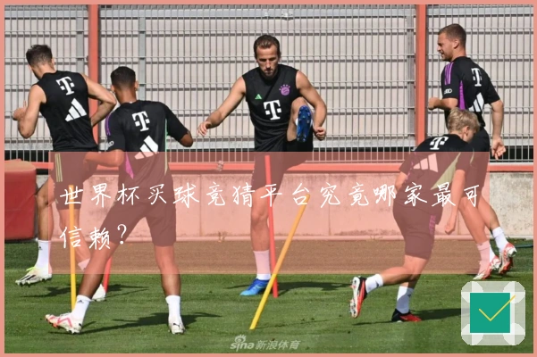 世界杯买球竞猜平台究竟哪家最可信赖？