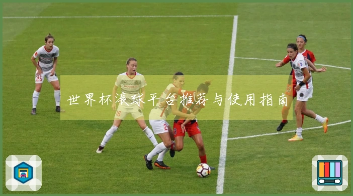 世界杯滚球平台推荐与使用指南