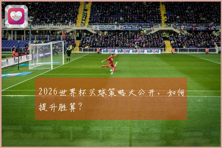2026世界杯买球策略大公开，如何提升胜算？