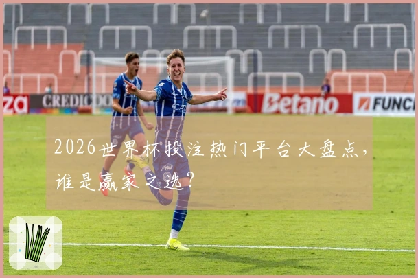 2026世界杯投注热门平台大盘点，谁是赢家之选？