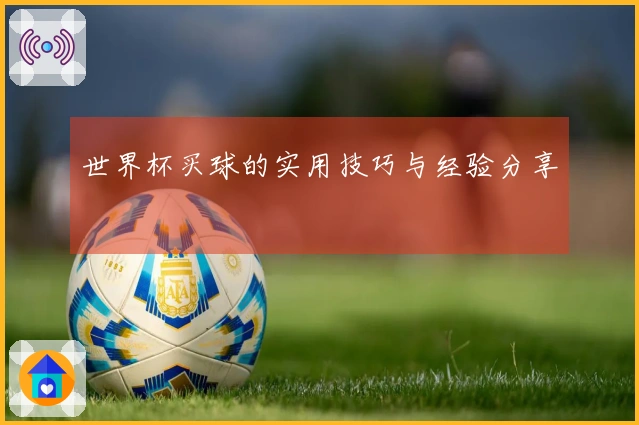 世界杯买球的实用技巧与经验分享