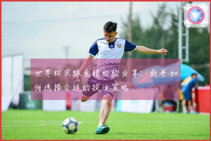 世界杯买球竞猜经验分享：新手如何选择合适的投注策略