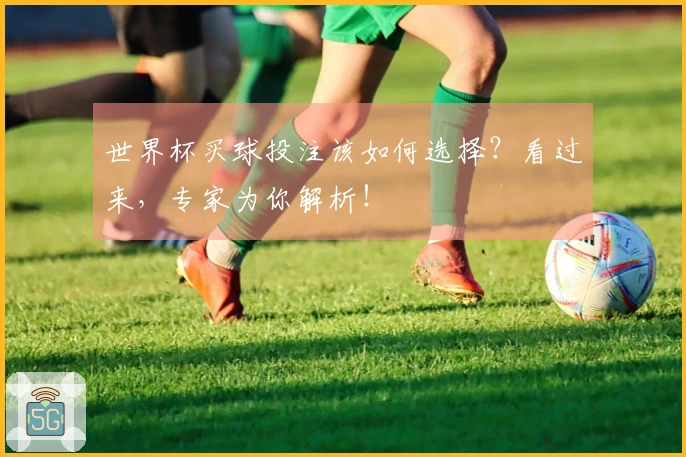 世界杯买球投注该如何选择?看过来,专家为你解析!