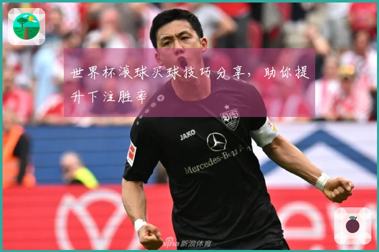 世界杯滚球买球技巧分享，助你提升下注胜率