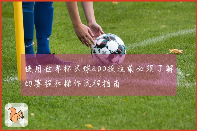 使用世界杯买球app投注前必须了解的赛程和操作流程指南