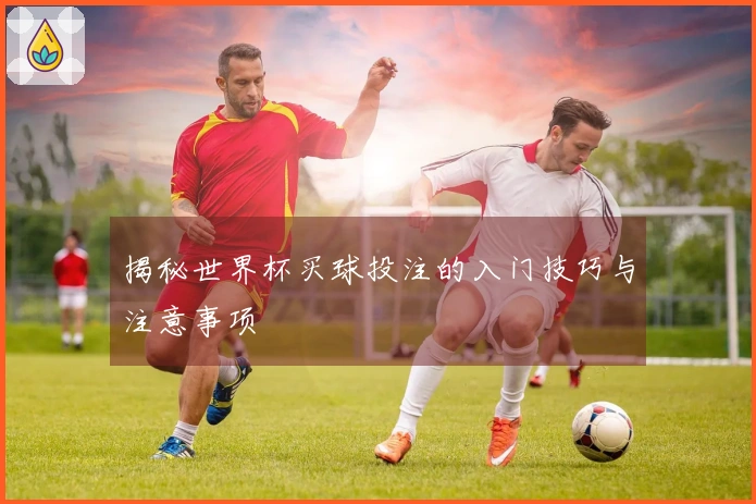 揭秘世界杯买球投注的入门技巧与注意事项